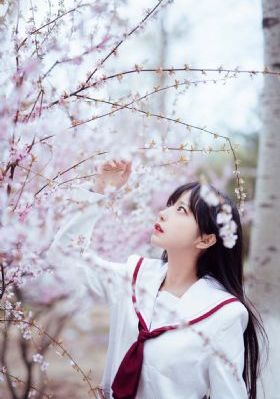 日韩精品精品不卡成人视屏_HD电视剧在线观看
